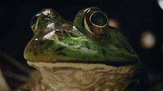 Episode 2 Chapter Two: The Cabin