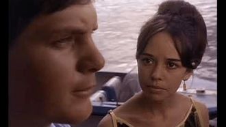 Episode 19 The Surfers