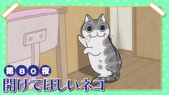 Episode 80 Night 80: The Cat Who Wants the Door Opened