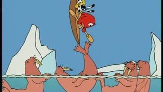 Episode 30 North Pole - Walrus