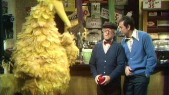 Episode 13 Big Bird Helps Mr. Hooper