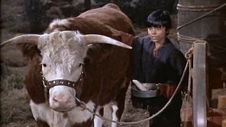 Episode 16 El Toro Grande