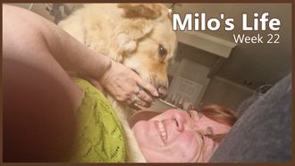 Episode 22 Fun in the Sun | Week 22