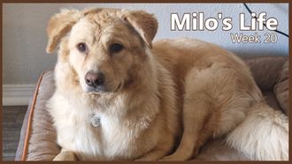 Episode 20 Warning: Slippery Creeks | Week 20