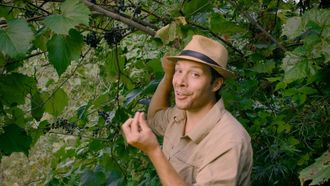 Episode 3 Fall Foraging