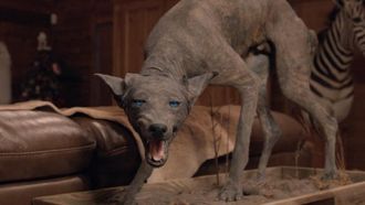 Episode 3 Strange Creatures