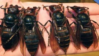 Episode 2 Livestock Mutilation & Curse of the Ice Mummy