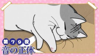 Episode 79 Night 79: The Source of the Sound