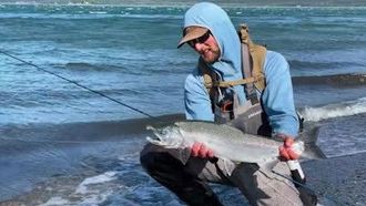 Episode 3 A Working Ecosystem