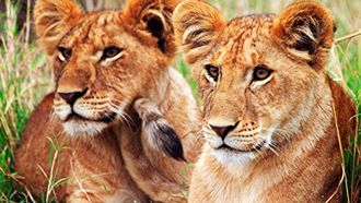 Episode 1 Short Grass Plains