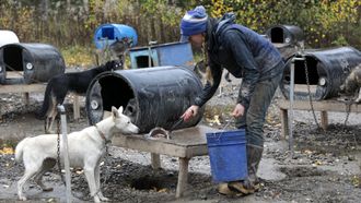 Episode 2 The Training Game