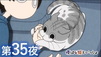 Episode 35 Night 35: The Urge to Bother Sleeping Cats