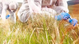 Episode 3 Forensic Imaging and MSN Chat