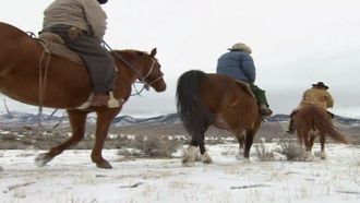 Episode 4 Miles from Home