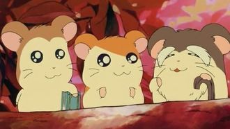 Episode 11 The Wise, Elder Ham