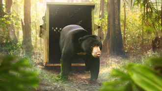 Episode 7 Saving Asia