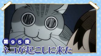 Episode 95 Night 95: The Cat Comes to Wake Me Up