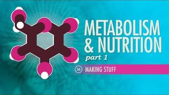 Episode 36 Metabolism & Nutrition, Part 1