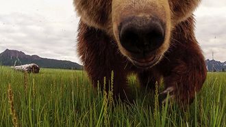 Episode 2 Drama In The Wilderness