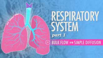 Episode 31 Respiratory System, Part 1