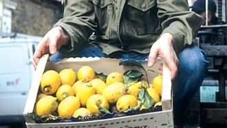 Episode 4 More than just a Lettuce Leaf