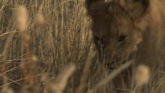 Episode 3 Queen Cleo