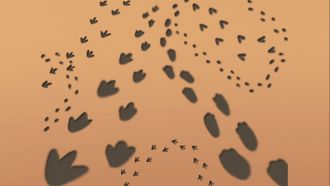 Episode 38 Buddy the Tracker