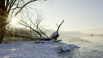 Episode 2 Raging Waters