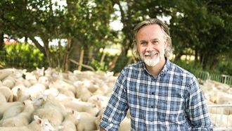 Episode 8 Sheep