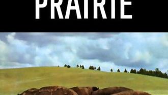 Episode 3 Prairie/Seal Island