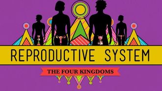 Episode 34 The Reproductive System: How Gonads Go