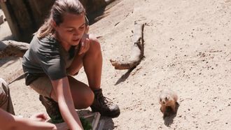 Episode 7 Cute and Cuddly Prairie Dogs