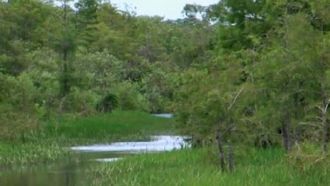 Episode 4 Shots Fired!