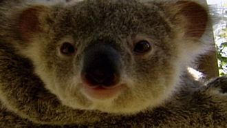 Episode 6 Freak Encounters