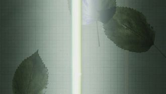 Episode 6 The Ties That Bind