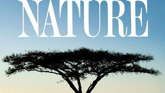 Episode 4 Amate: The Great Fig Tree