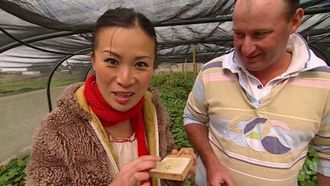 Episode 16 Duck and Wasabi with Neil Perry