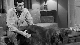 Episode 20 Bloodline