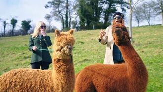 Episode 4 Fifty Shades of Red