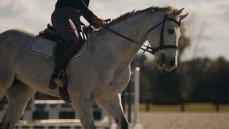 Episode 5 Horse Hitman