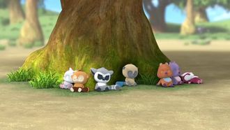 Episode 24 The Smiling Quokkas