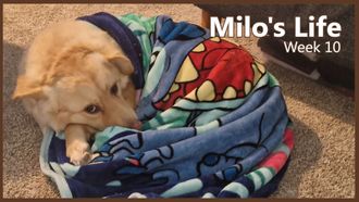 Episode 10 Don't eat that! | Week 10