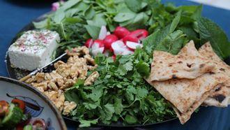 Episode 6 Where the Kabob is Hot