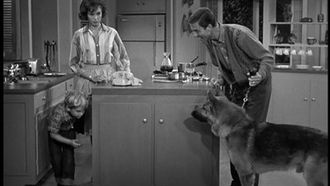 Episode 9 The Unwelcome Houseguest