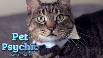 Episode 4 Mr. Puddles