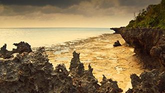 Episode 1 Zanzibar: Land of Giants