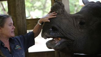 Episode 3 You're the Rhino I Want!