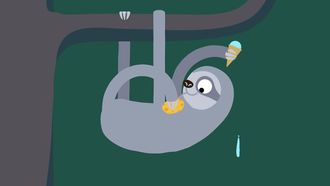 Episode 8 Sloth
