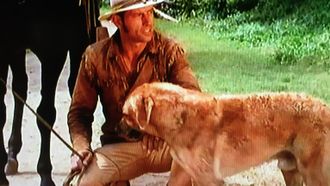 Episode 12 Hondo And The Ghost Of Ed Dow