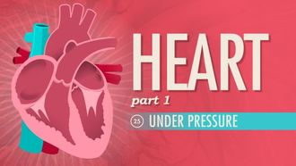 Episode 25 The Heart, Part 1 - Under Pressure